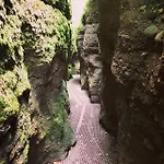 Szálloda Rennsteighotel Gruener Baum Schmiedefeld am Rennsteig