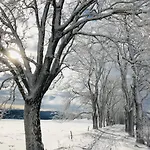 Rennsteighotel Gruener Baum 3* Schmiedefeld am Rennsteig