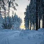 Rennsteighotel Gruener Baum Szálloda Schmiedefeld am Rennsteig