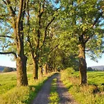 Rennsteighotel Gruener Baum Schmiedefeld am Rennsteig