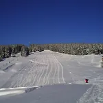 Szálloda Rennsteighotel Gruener Baum