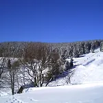 Rennsteighotel Gruener Baum 3*