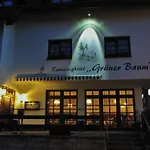 Rennsteighotel Gruener Baum Schmiedefeld am Rennsteig