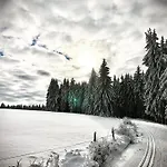 Szálloda Rennsteighotel Gruener Baum Schmiedefeld am Rennsteig