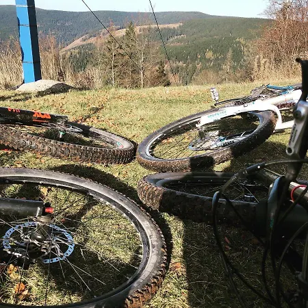 Rennsteighotel Gruener Baum Hotel