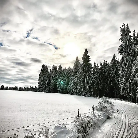 Rennsteighotel Gruener Baum 3* Schmiedefeld am Rennsteig