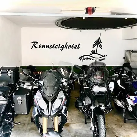 Hotel Rennsteighotel Gruener Baum 3*