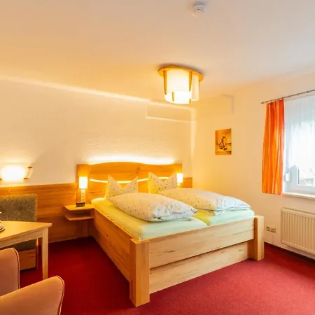 Rennsteighotel Gruener Baum Hotel Schmiedefeld am Rennsteig