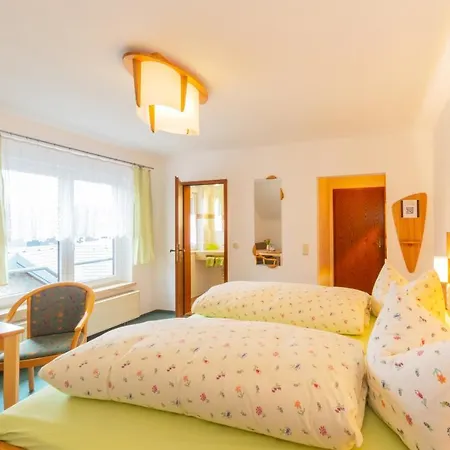 Rennsteighotel Gruener Baum Ξενοδοχείο Schmiedefeld am Rennsteig