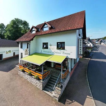 Rennsteighotel Gruener Baum Hotel