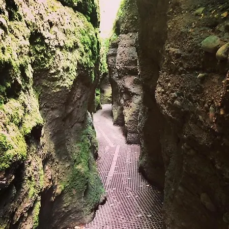 Ξενοδοχείο Rennsteighotel Gruener Baum Schmiedefeld am Rennsteig