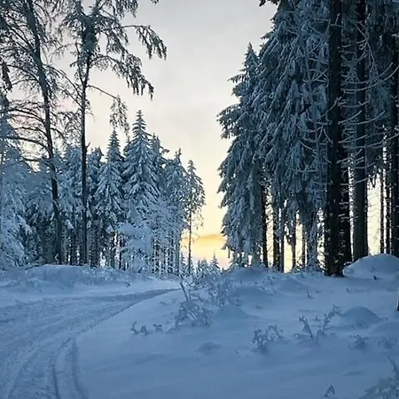 Rennsteighotel Gruener Baum Hotel Schmiedefeld am Rennsteig