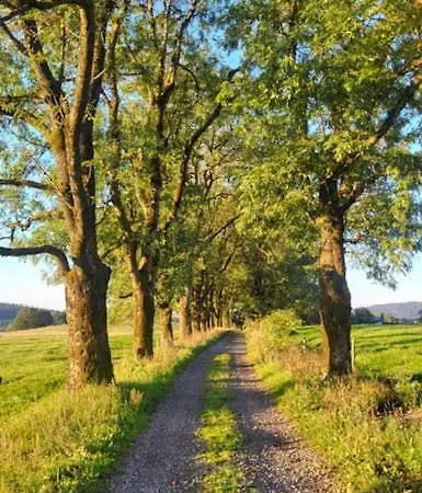 Rennsteighotel Gruener Baum Schmiedefeld am Rennsteig