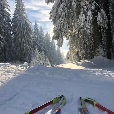 Rennsteighotel Gruener Baum