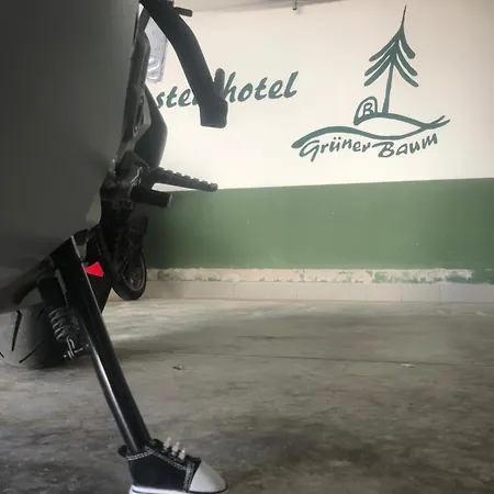 Hotel Rennsteighotel Gruener Baum 3*