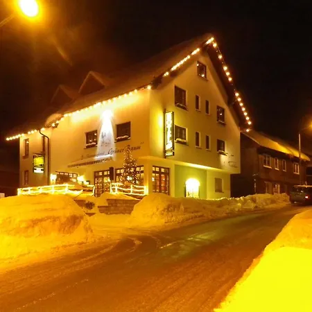 Rennsteighotel Gruener Baum 3*