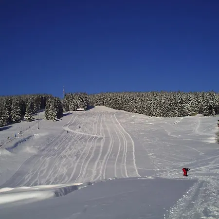 Rennsteighotel Gruener Baum 3*