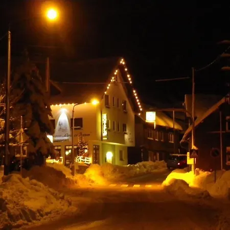 Hotel Rennsteighotel Gruener Baum 3*