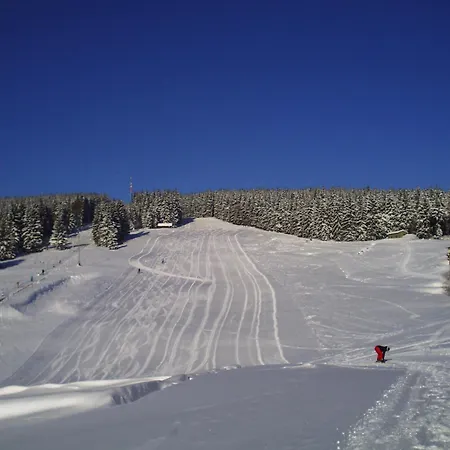 Hotel Rennsteighotel Gruener Baum