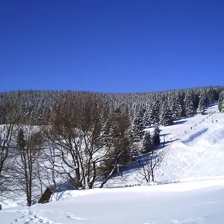 Rennsteighotel Gruener Baum 3*