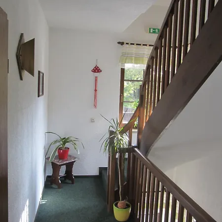 Rennsteighotel Gruener Baum 3*