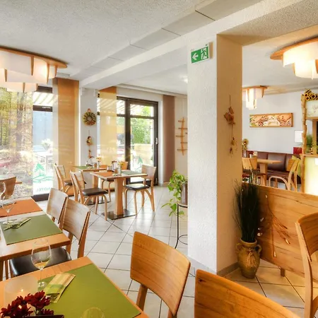 Rennsteighotel Gruener Baum Ξενοδοχείο 3*