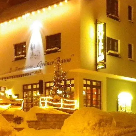 Ξενοδοχείο Rennsteighotel Gruener Baum Schmiedefeld am Rennsteig