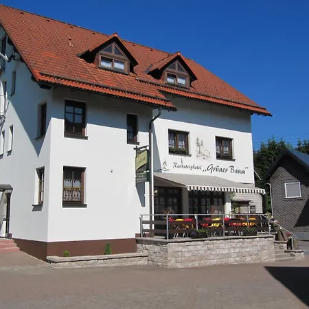Hotel Rennsteighotel Gruener Baum 3*