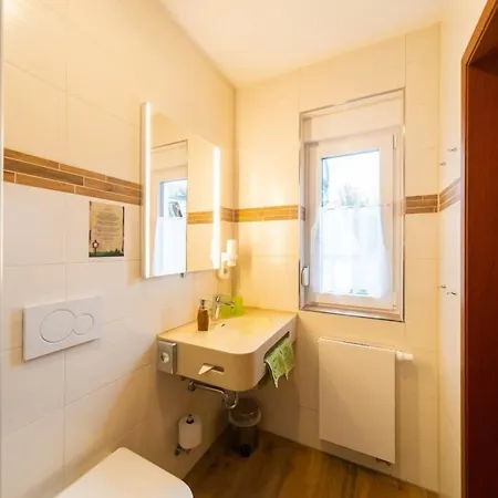 Rennsteighotel Gruener Baum Ξενοδοχείο Schmiedefeld am Rennsteig