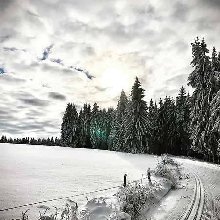 Hotel Rennsteighotel Gruener Baum Schmiedefeld am Rennsteig
