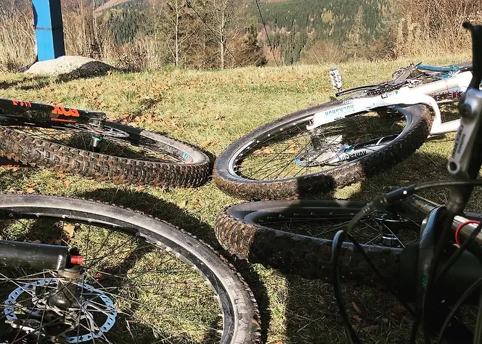 Rennsteighotel Gruener Baum Hotel