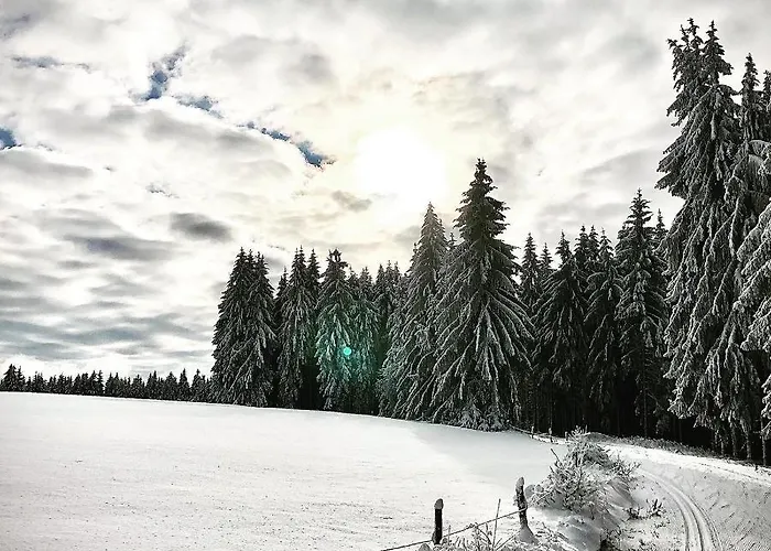 Rennsteighotel Gruener Baum 3* Schmiedefeld am Rennsteig