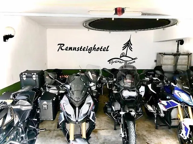 Hotel Rennsteighotel Gruener Baum 3*