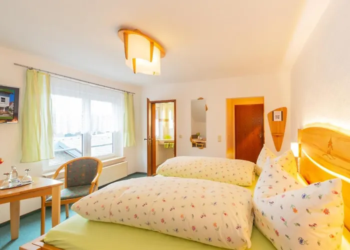 Rennsteighotel Gruener Baum Hotel Schmiedefeld am Rennsteig