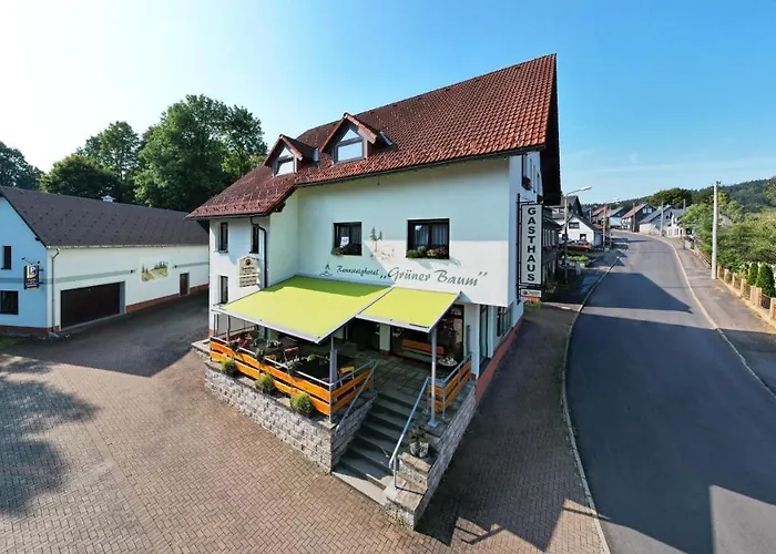 Rennsteighotel Gruener Baum Otel