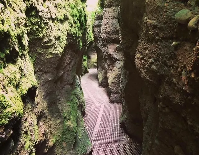 Hotel Rennsteighotel Gruener Baum Schmiedefeld am Rennsteig