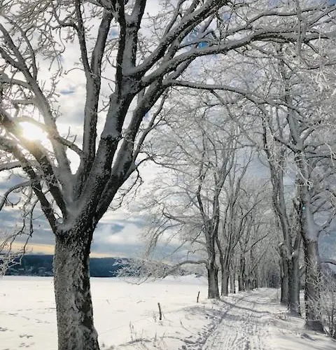 Rennsteighotel Gruener Baum 3* Шмидефельд-ам-Ренштайг