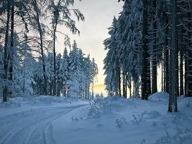 Rennsteighotel Gruener Baum Отель Шмидефельд-ам-Ренштайг