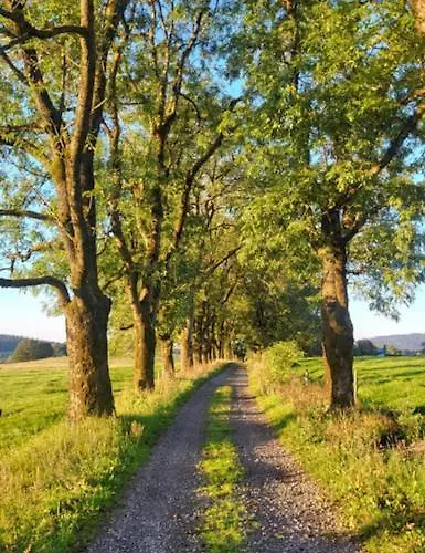 Rennsteighotel Gruener Baum Schmiedefeld am Rennsteig