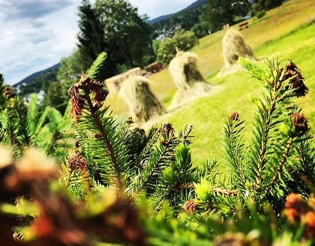 Rennsteighotel Gruener Baum Отель