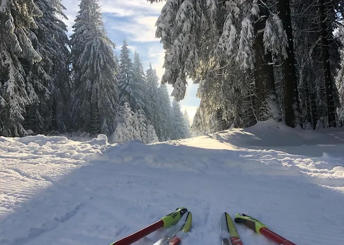 Rennsteighotel Gruener Baum