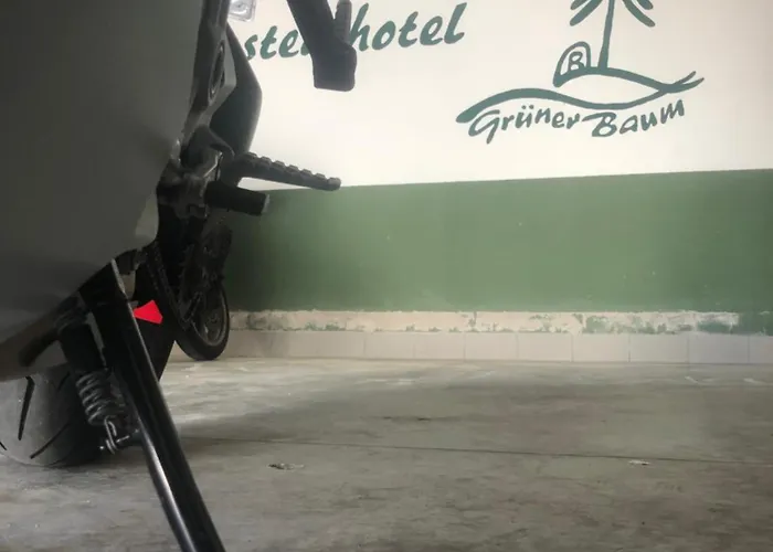 Hotel Rennsteighotel Gruener Baum 3*