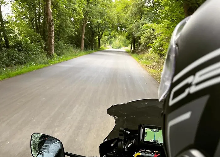 Rennsteighotel Gruener Baum 3* Schmiedefeld am Rennsteig