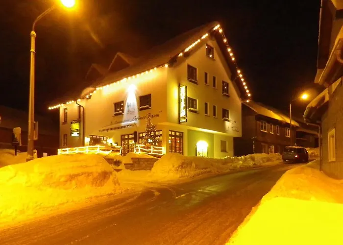 Rennsteighotel Gruener Baum 3*