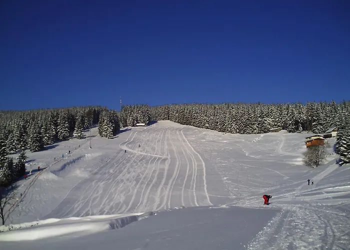 Rennsteighotel Gruener Baum 3*