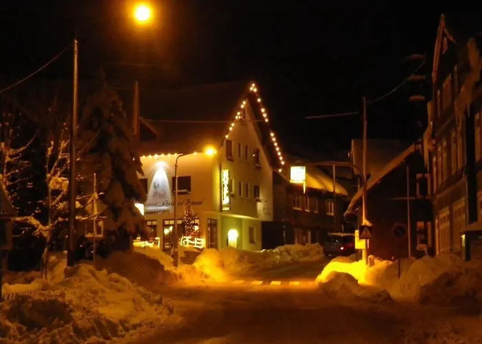 Отель Rennsteighotel Gruener Baum 3*