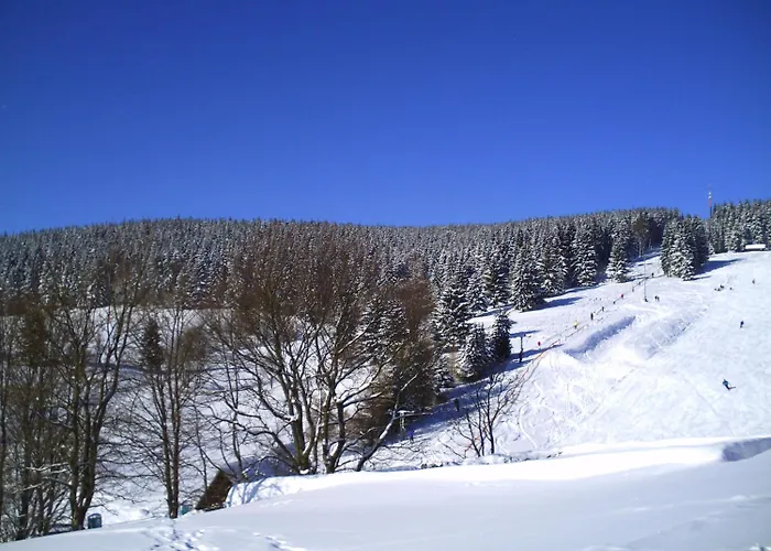 Rennsteighotel Gruener Baum 3*