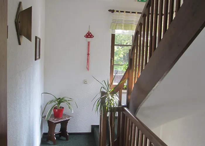 Rennsteighotel Gruener Baum 3*