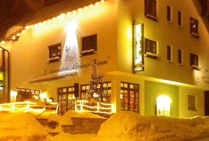 Otel Rennsteighotel Gruener Baum Schmiedefeld am Rennsteig