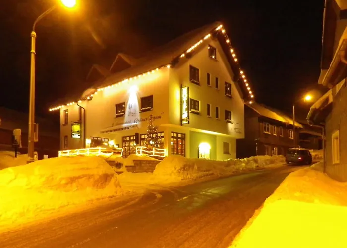 Rennsteighotel Gruener Baum 3* Schmiedefeld am Rennsteig